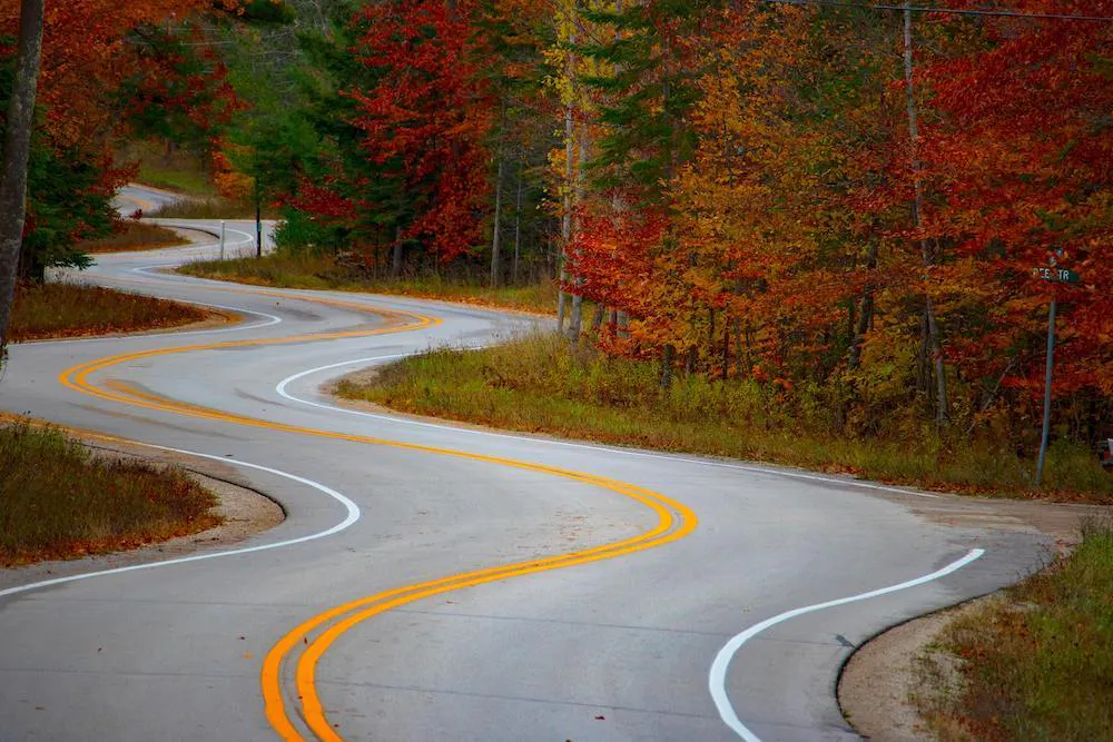 A winding road through fall trees